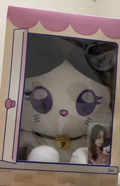 おすわりミャイズ 笠原桃奈 MO:NA ME:I おすわりミャイズ ME:EYE's 笠原桃奈 MO:NA - メルカリ