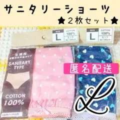 サニタリーショーツ♡生理用ショーツ パンツ Lサイズ ドット ハート ピンク 紺