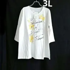 coconlife/　カットソー　7分袖　3L