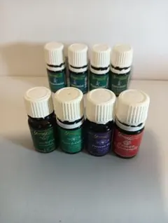 ヤングリビング　Young Living★ピースアンドカーミング２本セット ピースアンドカーミング 5ml | ヤング・リビング精油 | Young Living