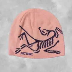 2026年最新】ARC'TERYX カラー：ピンク系 メンズ ニット帽・ビーニーの