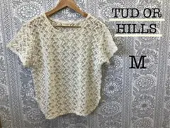 Item thumbnail for item 1e9c970d-b317-477e-bd34-9583a773bcac