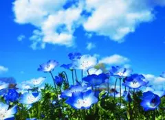 じゅんちゃん様 リクエスト 2点 まとめ商品