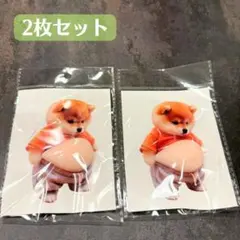 【2匹セット】おなかぷにぷにシール 柴犬 お腹 シリコン シール交換 スクイーズ