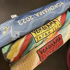 Item thumbnail for item 6b236591-1c51-403a-91e4-231c751ed58a