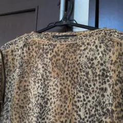 レオナールシャツ難のサムネイル