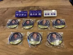 サンフレッチェ広島　バッジセット　Ｊリーグサッカー選手