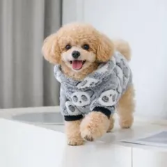 Item thumbnail for item b08a1746-63c2-4ca6-a8d9-e369c709903e