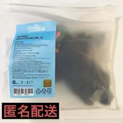 プネクド テサン BOYNEXTDOOR ボネクド ぬいぐるみ キーリング