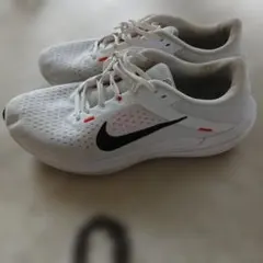 NIKE Winflo スニーカー ホワイト