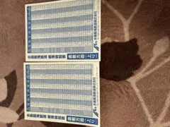 みちゃえる様 リクエスト 2点 まとめ商品