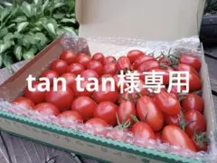 tan tan様専用