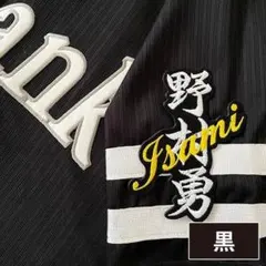 99 野村勇 背番号セット 白/黒 刺繍ワッペン ソフトバンクホークス