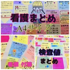 助産師 助産学生 実習ポケットノート まとめノート 助産師国家試験