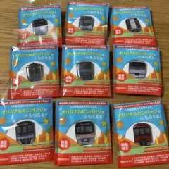 2025年最新】鉄道 ピンバッチの人気アイテム - メルカリ