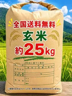 ☆令和7年 ‪新米 ひとめぼれ 25kg 秋田県産 産地直送☆ - メルカリ‬