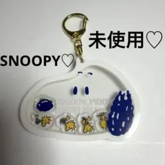 スヌーピー ウッドストック アクリルキーホルダー　サンリオ当りくじ シャカシャカ