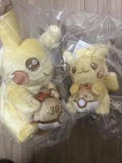 ポケモン ピカチュウ 30周年記念 ぬいぐるみセット　2個