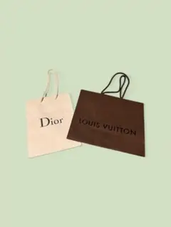 【ブランド 紙袋 2点セット】 Dior＆ Louis Vuitton小さめ紙袋