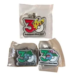 ポケモン 30周年 メタルチャームマスコット