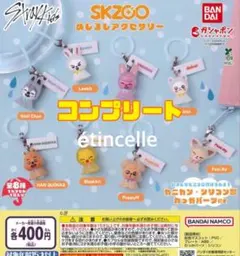 SKZOO スキズ めじるしアクセサリー 全8種　コンプ　コンプリート