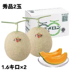 イズモ高知温室メロン 5玉入り二箱箱込み11キロ11.2キロ 高知 温室メロン 5玉入り箱込み11.2キロ17 - メルカリ