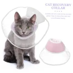 Item thumbnail for item 2e06517f-5f0d-4884-b6d2-9a07c7f6241e