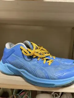 PUMA Hali1バスケットボールシューズ ZEN BLUE - メルカリ