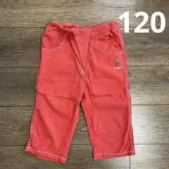 120 クレードスコープ 六分丈 パンツ 男の子
