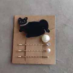 猫(=^ェ^=)黒猫のヘアゴム・ヘアピンセット