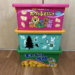 コンテナボックス 3点セット