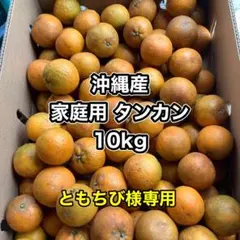 沖縄産 家庭用タンカン　10kg Mサイズ