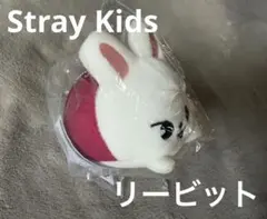 【匿名配送】スキズ SKZOO ミニバッグチャーム リービット リノ
