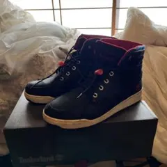 黒色のTimberlandハイカットブーツ26.5㎝
