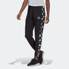 adidas アディダス CELEB PANT GK6190 ブラック