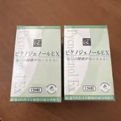 2026年最新】ピクノジェノールexの人気アイテム - メルカリ