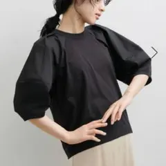 アダムエロペ　パフTシャツ　ジャーナルスタンダード、イエナ、ビームスのサムネイル