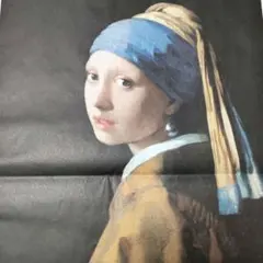 2026年最新】真珠の耳飾りの少女 ファイルの人気アイテム - メルカリ