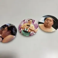 Item thumbnail for item 78388d6d-894c-4247-8f9a-7852d0360f6d