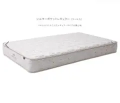 i様 グラントイーワンズ プラサード スリーピング(電位掛け布団