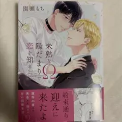 未熟なΩは陽だまりで恋を知る　園瀬もち