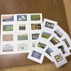 Item thumbnail for item a3d2907f-65ef-4558-8e13-048569c56cb6