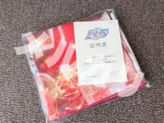 2026年最新】梅澤美波 サインの人気アイテム - メルカリ