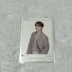 SEVENTEEN セブチ Ode to You エスクプス トレカ