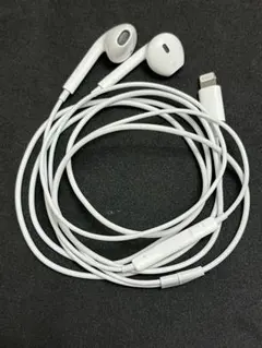 Apple純正イヤホン