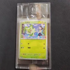 中国版 ポケモンカード 新葉猫 116/SV-P