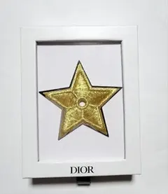 DIOR ノベルティ　ピンバッチ