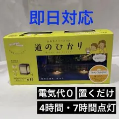 ⭐️ディズニー25周年グッズ付き【タカショー】ひかりノベーション 道のひかり　屋外のサムネイル