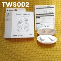 完全ワイヤレスイヤホン TWS002 ホワイト 白 ダイソー DAISO