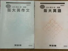 2025年最新】河合塾 夏期 英語の人気アイテム - メルカリ